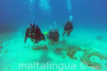Explorează Marea Mediterană