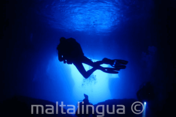 Scuba scufundări for Beginners &amp; Pros