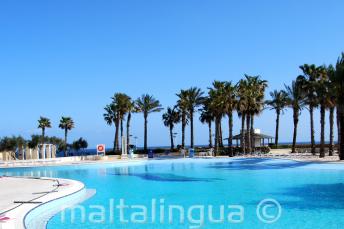 Hilton Malta piscină with sea vedere