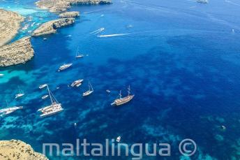 foto of our școală excursie cu barca to Comino from the air