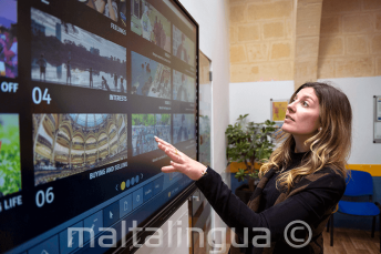 Friendly professional profesori