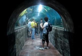 studenți in an aquarium tunnel